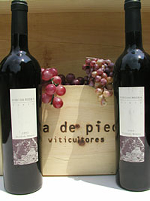 2002 vino de piedra 